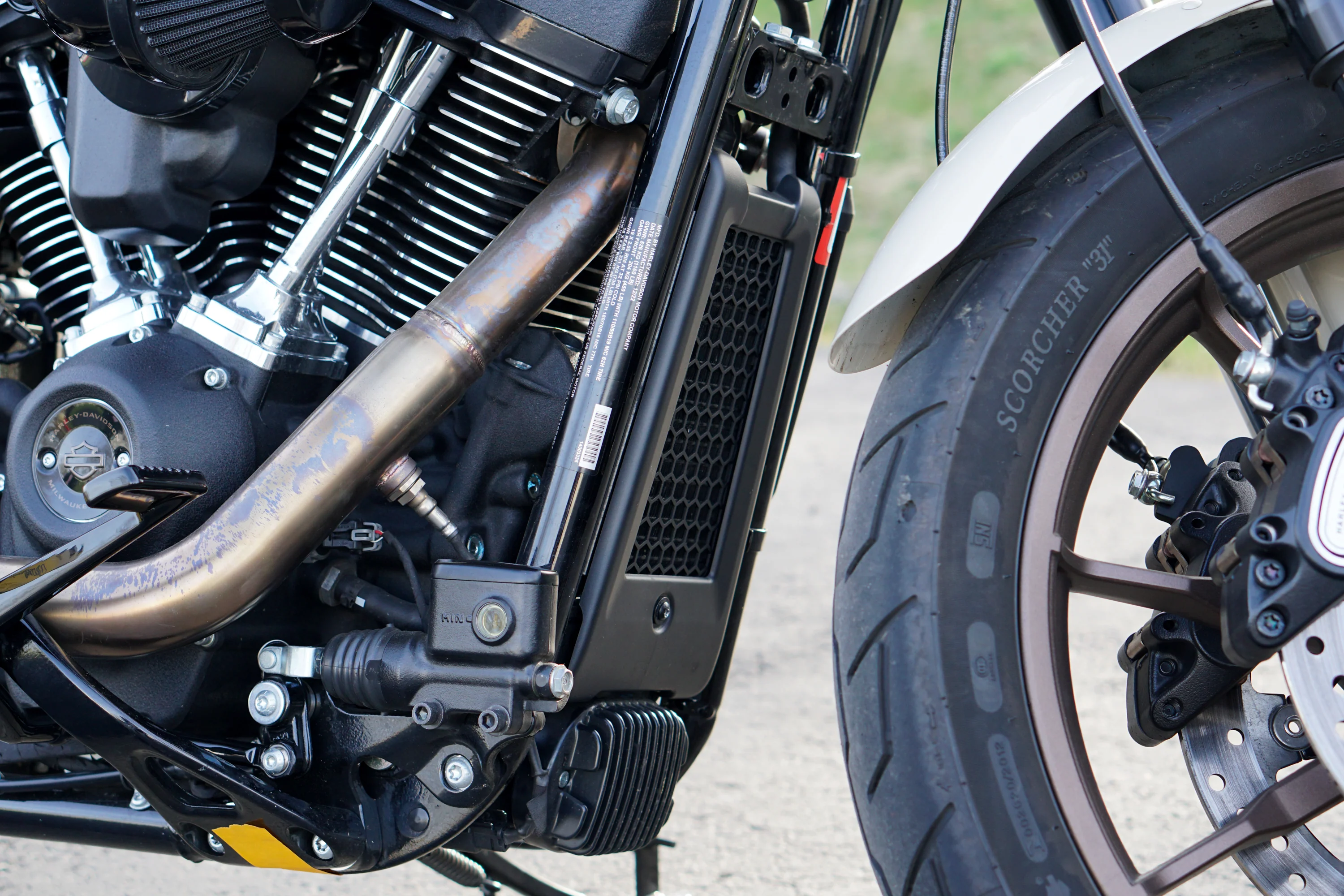 Harley M8 2020+ Softail Oil Cooler Guard (Black Powder Coat) - Image 6